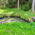 Fiore Am Naturschwimmbad! Apartment
