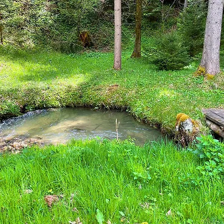 Fiore Am Naturschwimmbad! 公寓