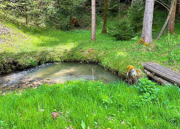 Fiore Am Naturschwimmbad! Διαμέρισμα